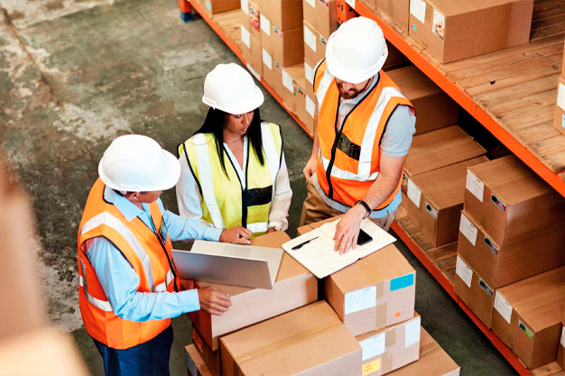 consultoria logistica